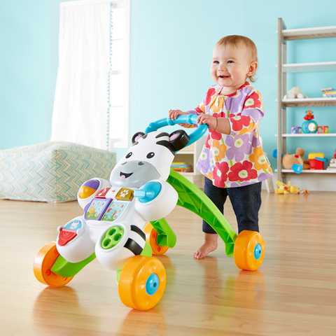 Activity zebra fisher sales price