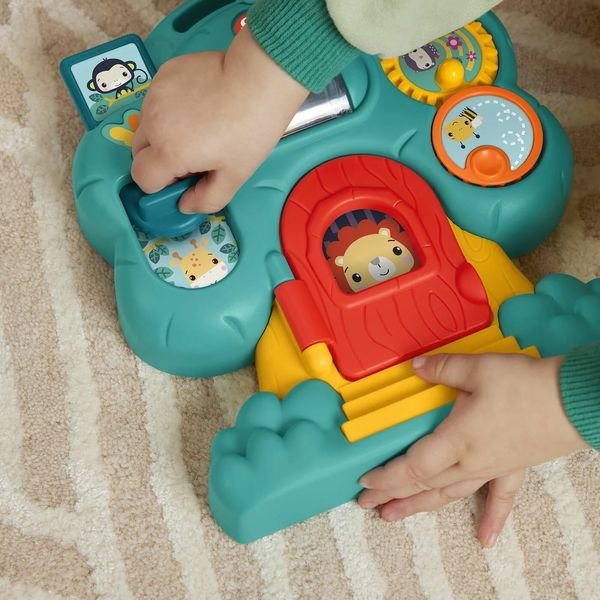 Розвиваюча іграшка Fisher-Price